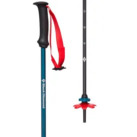 Black Diamond First Strike Trekking Poles-Kid's