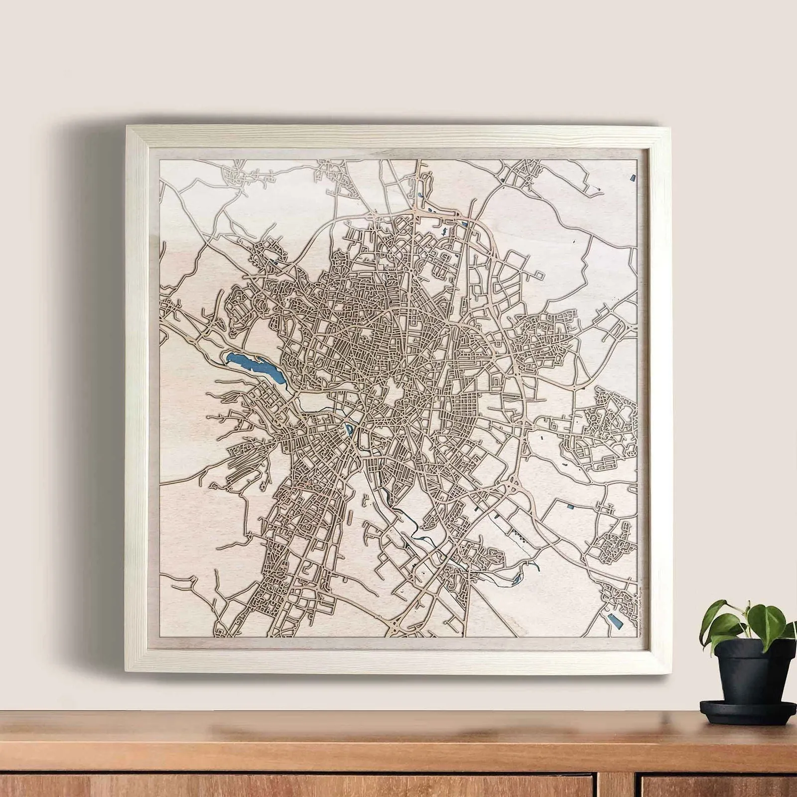Dijon Wooden Map